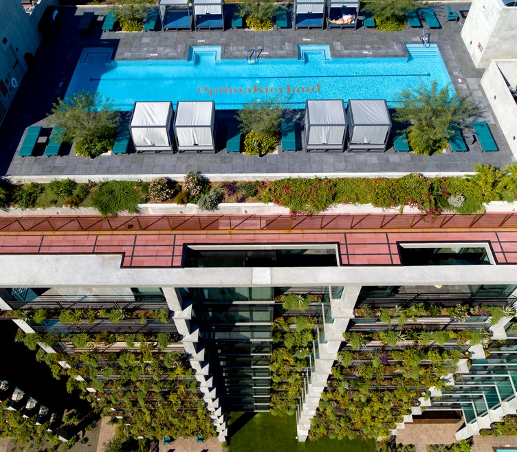 Rooftop Lap Pool