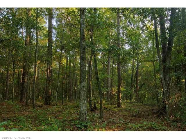 5 Paula Rd, Putnam, CT 06260 - photo 1