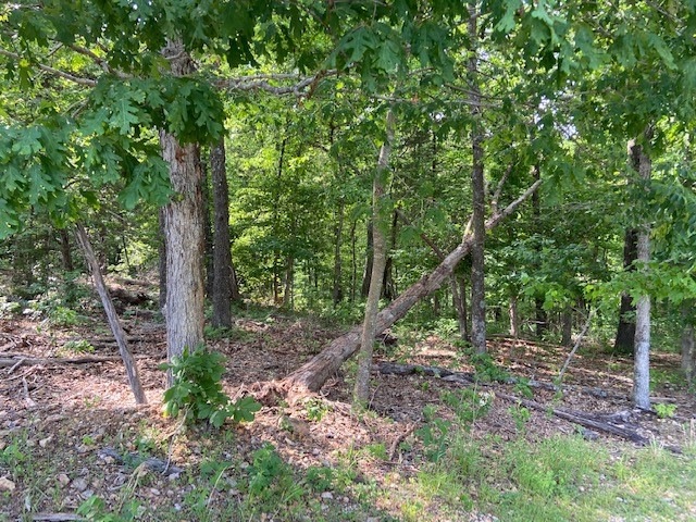 Lot 15 Brierton Ln, Bella Vista, AR 72715 - photo 1