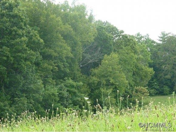 all wooded property.beautiful