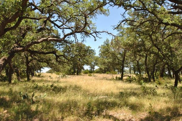 16 Sugar Creek Trail, Fredericksburg, TX 78624 - photo 1