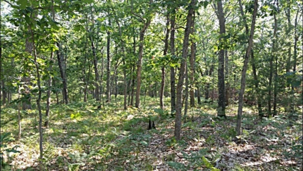 vacant land skeels