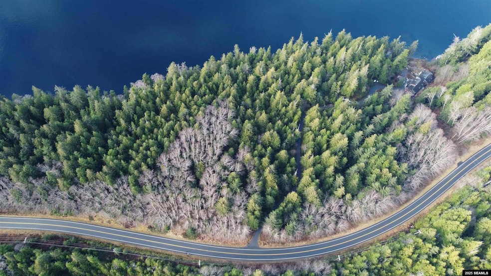 Lot 7 Legal Address Only unit Lot 7, Betton View S, Ketchikan, AK 99901 - photo 1