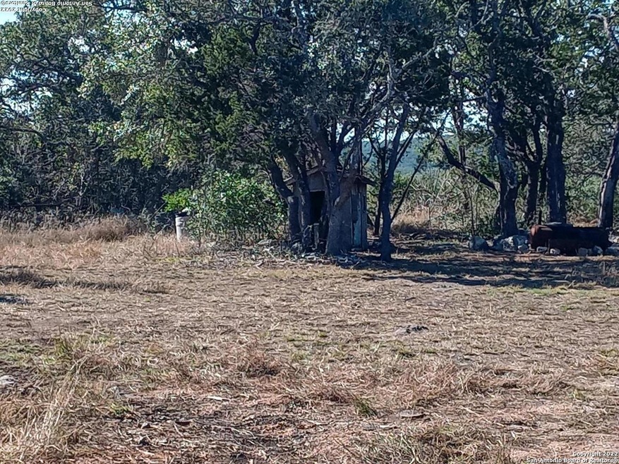851 Cr 246, Hondo, TX 78861 - photo 1