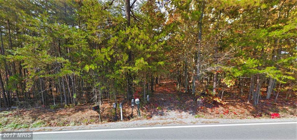 0 Chopping Rd unit 1000547695, Mineral, VA 23117 - photo 1
