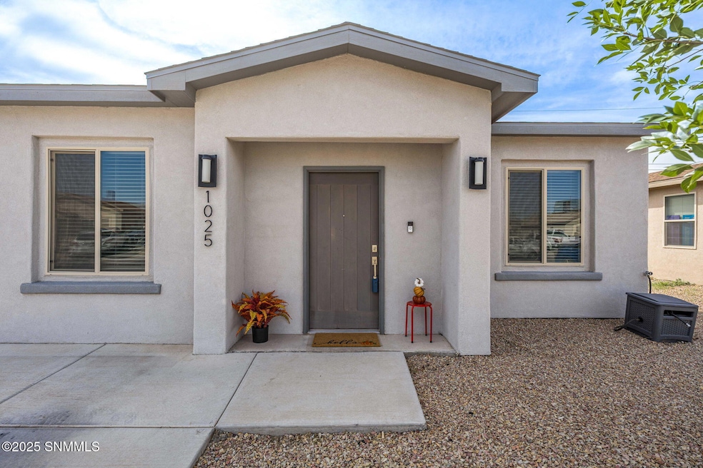 1025 Chitamacha Rd, Las Cruces, NM 88007 - photo 1