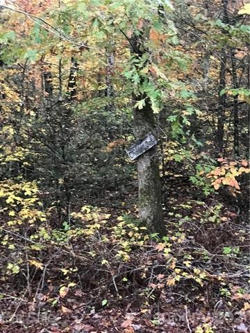 Lot 13 Echo Ln S unit 13, Old Fort, NC 28762 - photo 1