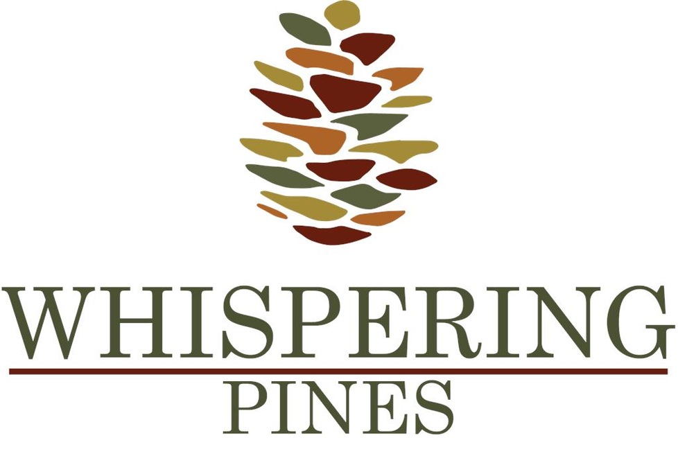 136 Myrtle Grove Trail, Evans, GA 30809 - photo 1