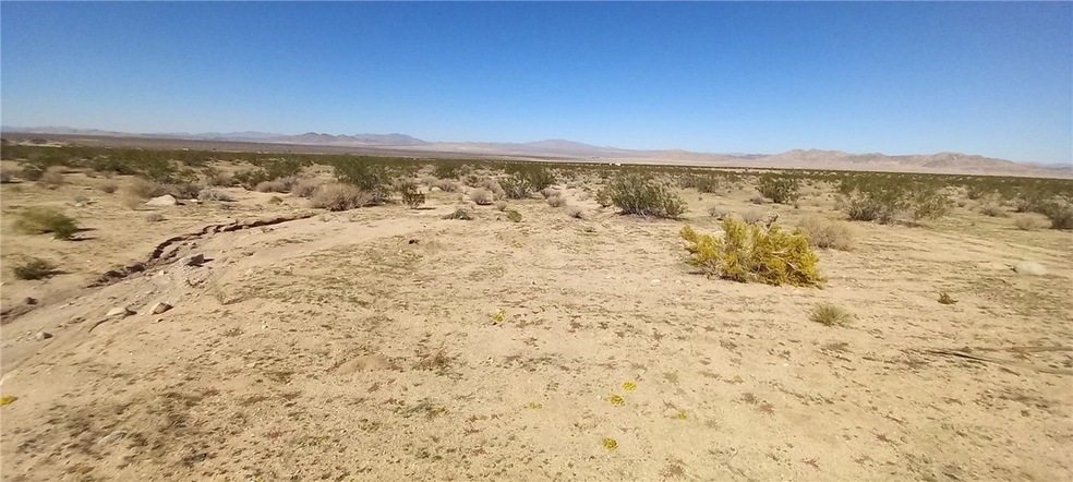 0 Joshua Tree Rd unit IG25042001, Johnson Valley, CA 92285 - photo 1