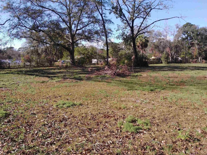 718 Shadeville Rd, Crawfordville, FL 32327 - photo 1