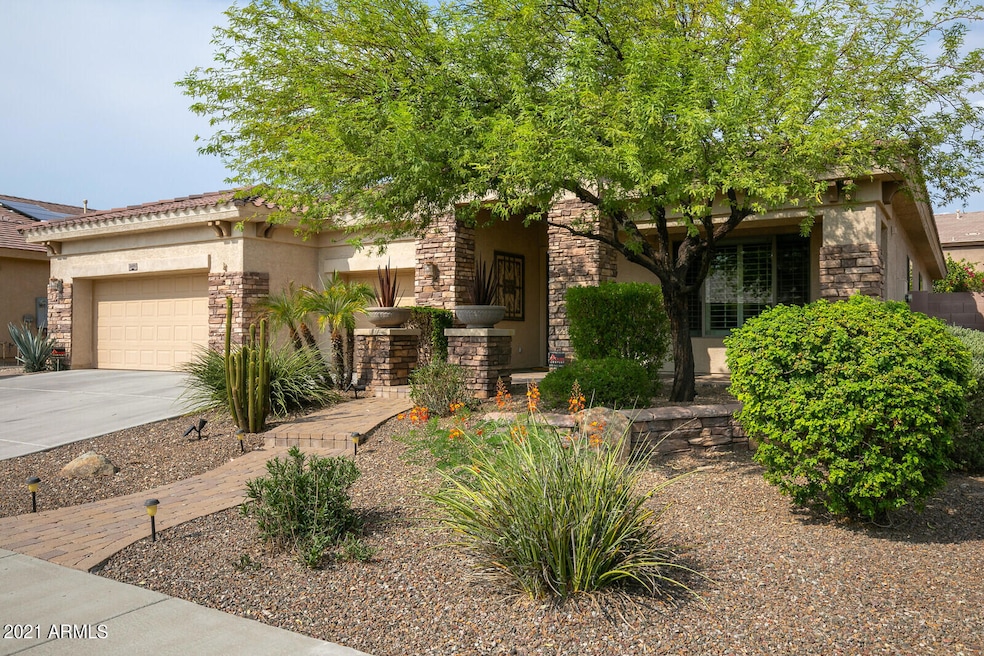 Beautiful Desert Landscaping
