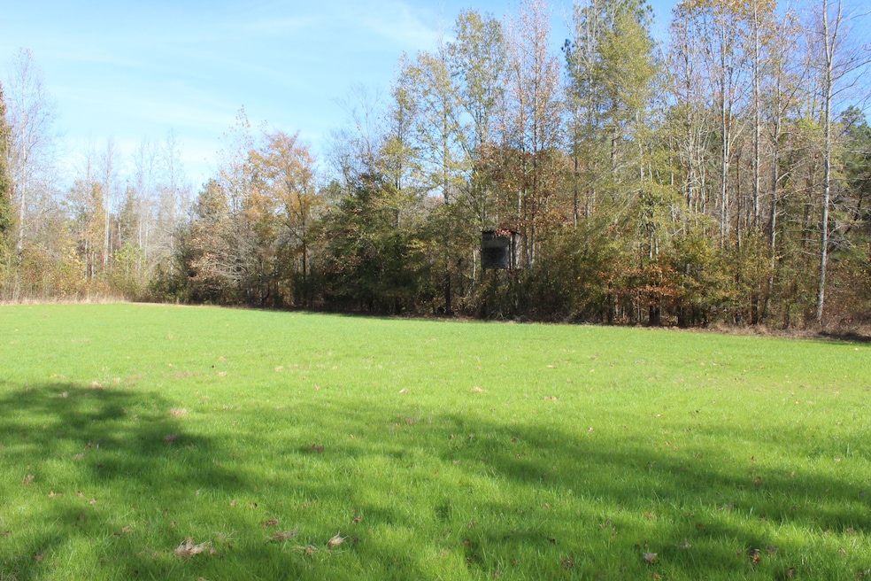 000 Enon Rd, Bolivar, TN 38008 - photo 1