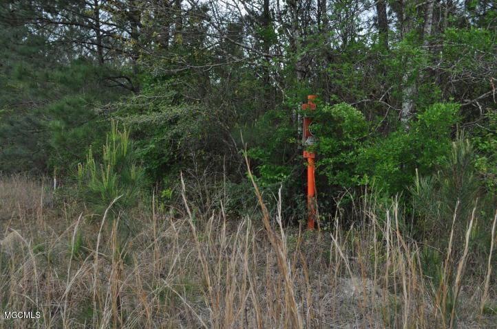 00 Interior Land Bayou La Croix, Bay Saint Louis, MS 39520 - photo 1
