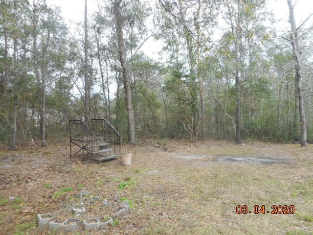 6 King Bee Dr, Crawfordville, FL 32327 - photo 1