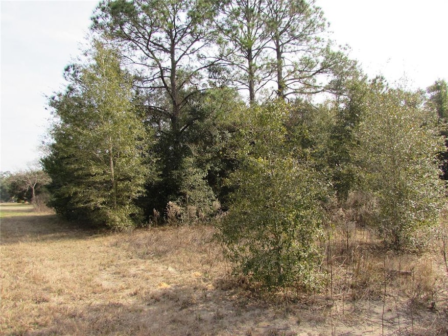 TBD SW 83rd St, Dunnellon, FL 34431 - photo 1