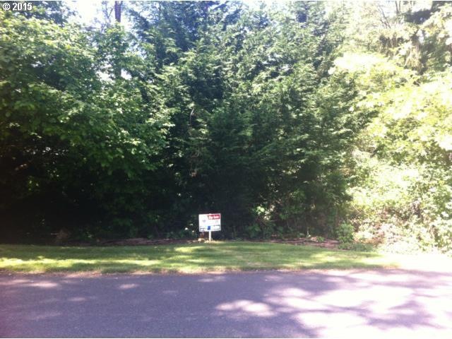 0 Shannon Lewis Ln unit 3 15600687, Winlock, WA 98596 - photo 1