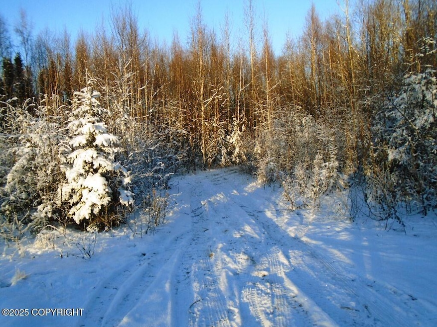 L1 Shearwater St, Knik-Fairview, AK 99654 - photo 1