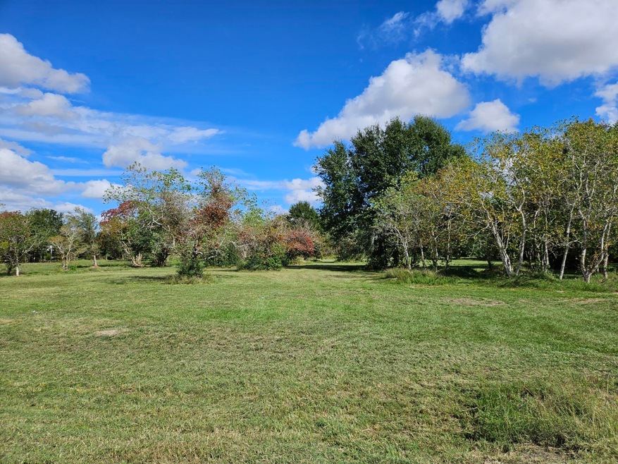 Tract 11 Megan Dr, Fairchilds, TX 77461 - photo 1