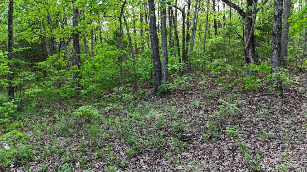 DJI_20240501170052_0310_D