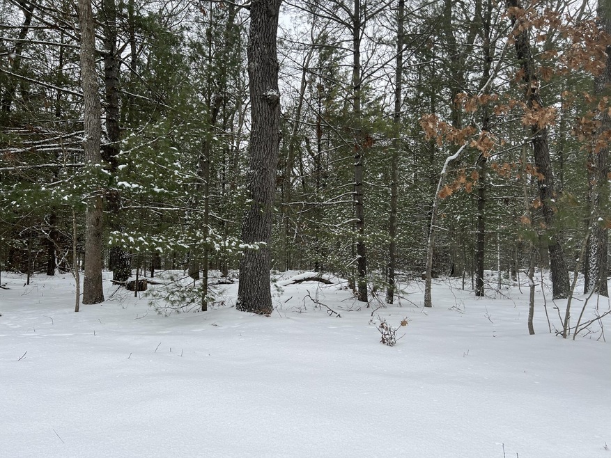 Build your cabin here!