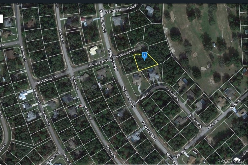 2994 W Challenge Ct, Dunnellon, FL 34434 - photo 1