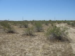 View of property