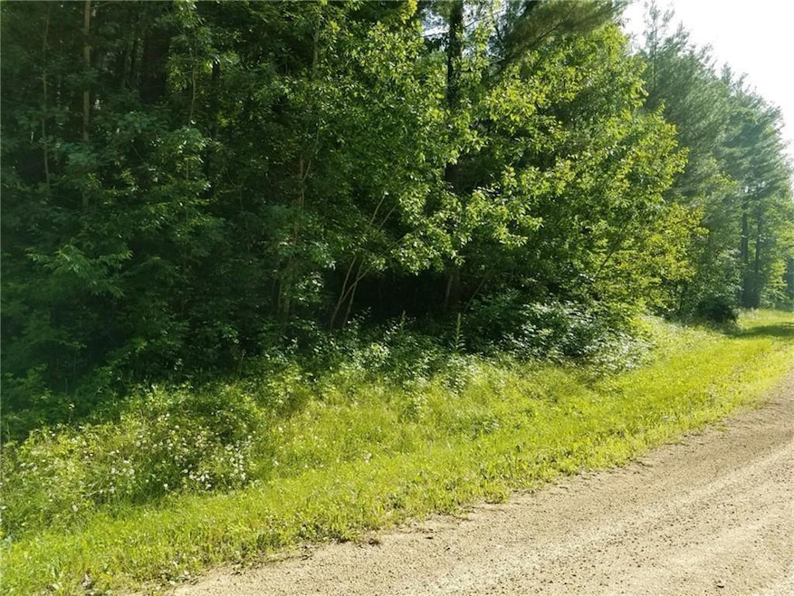 Lot 35 297th Street St, Eau Galle, WI 54737 - photo 1