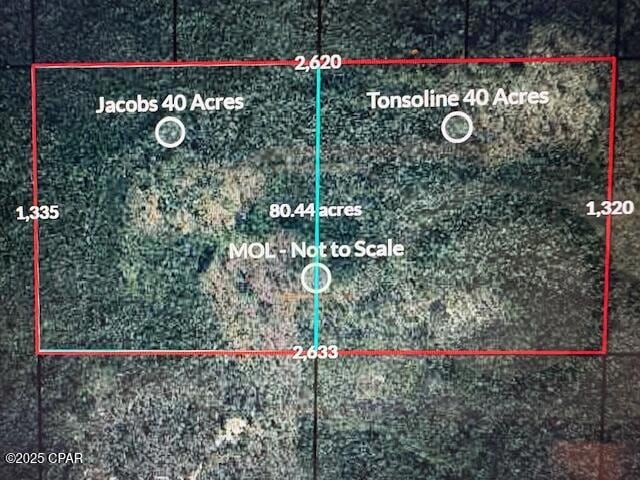 0 NW Camp Head Rd unit 770843, Altha, FL 32421 - photo 1