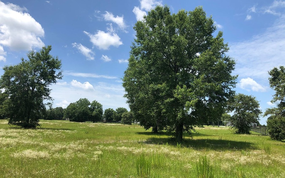 LOT43 Upstage Glen, Lake City, FL 32024 - photo 1