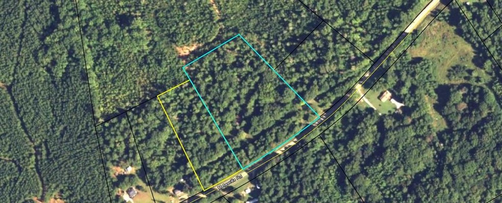 3190 Metasville Rd, Lincolnton, GA 30817 - photo 1