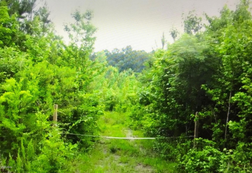 714 Ga Highway 18 W, Gray, GA 31032 - photo 1