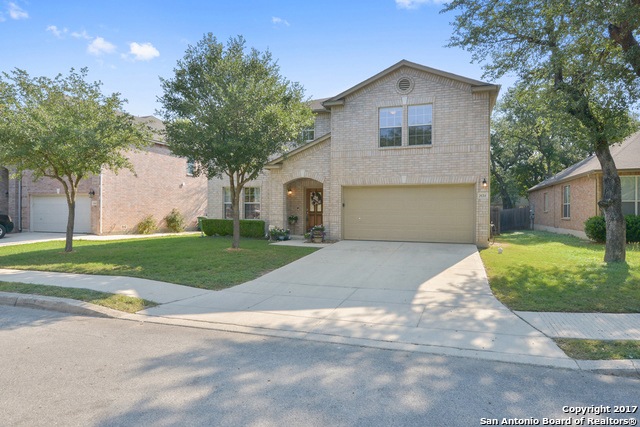 24314 Haeli Park, San Antonio, TX 78255 - photo 1