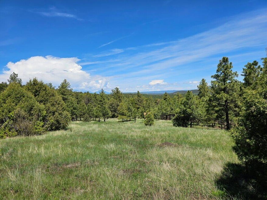 0 Alpine Meadows Dr unit F42 23-677, Trinidad, CO 81082 - photo 1