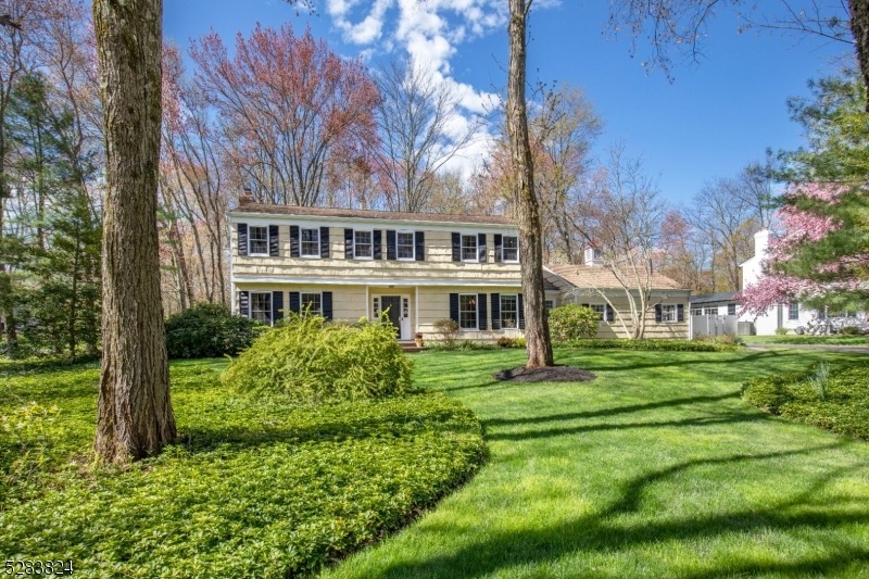 36 Dean Rd, Mendham, NJ 07945 - photo 1