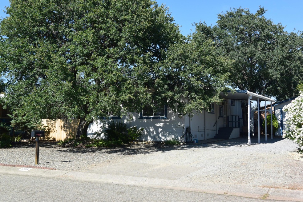 DSC_1981