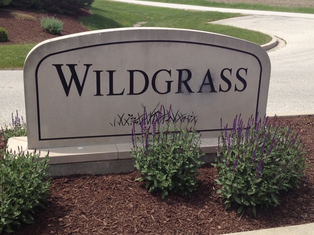 WELCOME TO WILDGRASS!