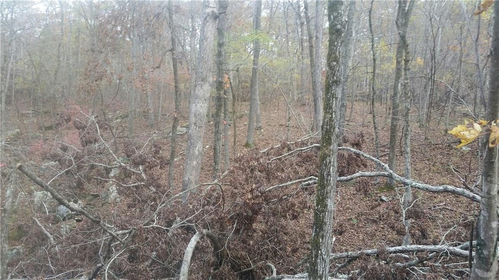 17762 S Highway 71, Winslow, AR 72959 - photo 1