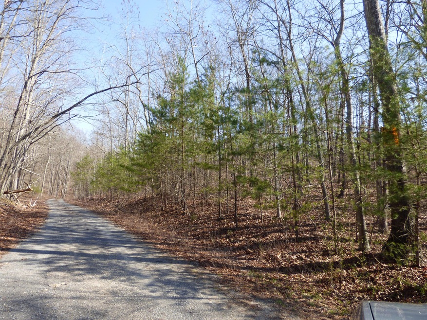 Vance rd Idle Oaks 178