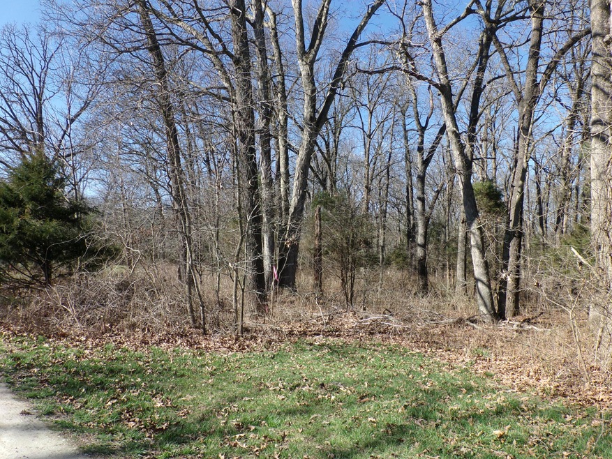 Lot 1a
