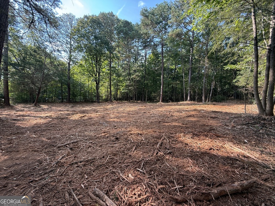 2348 Hi Roc Cir NE, Conyers, GA 30012 - photo 1