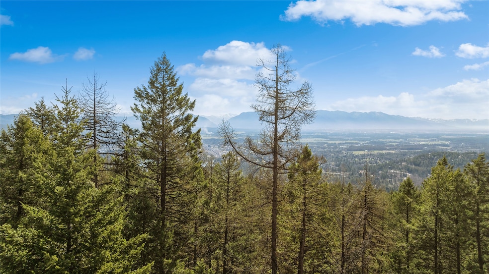 NHN Tract 2 Wolf Tail Pines Rd, Whitefish, MT 59937 - photo 1