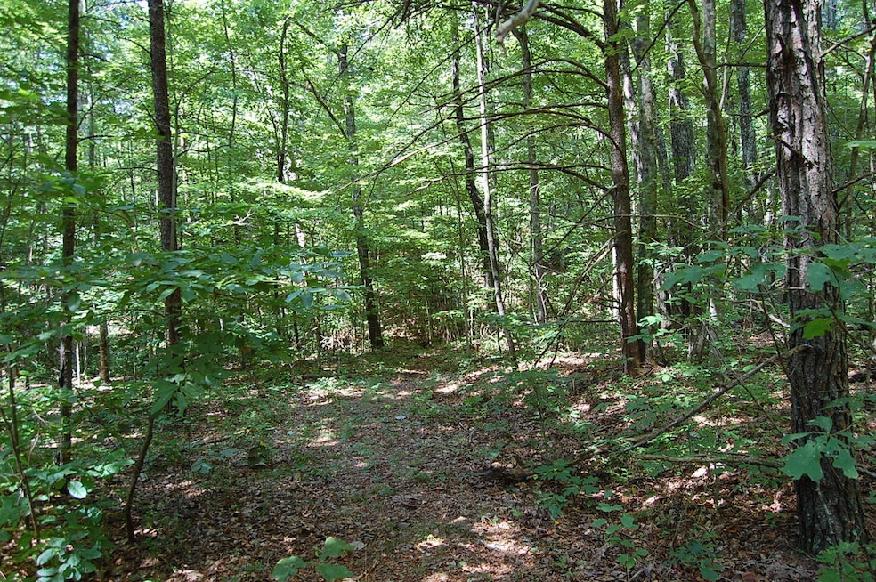 elk dr pics