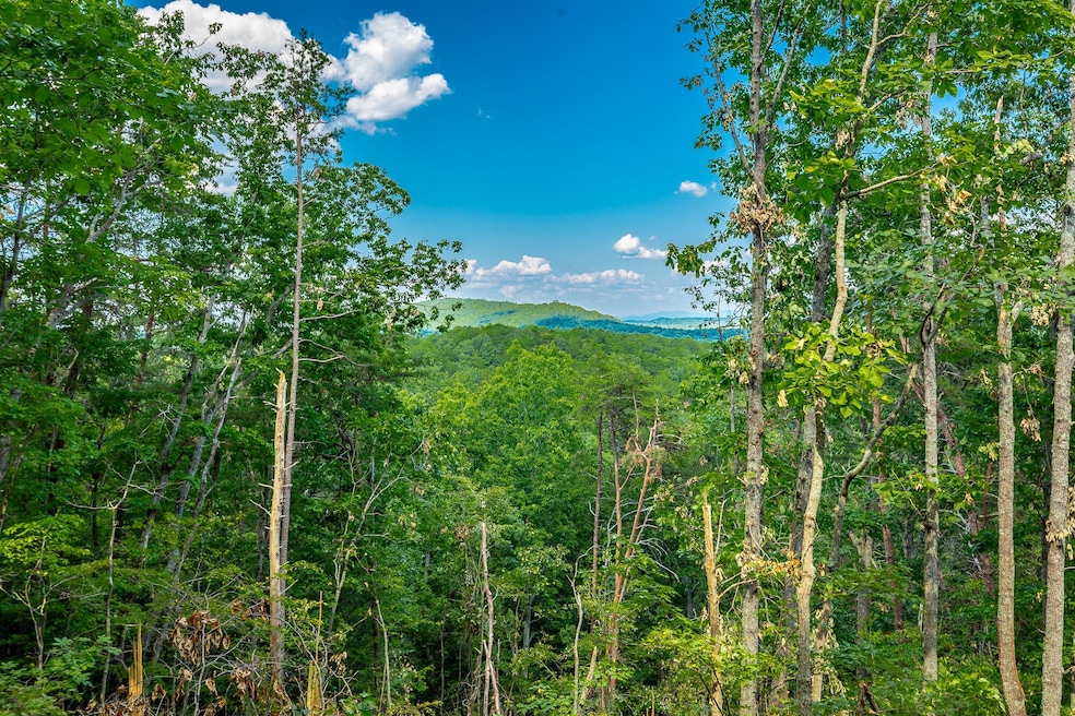 0 Clearview Dr unit RTC2683557, Ringgold, GA 30736 - photo 1