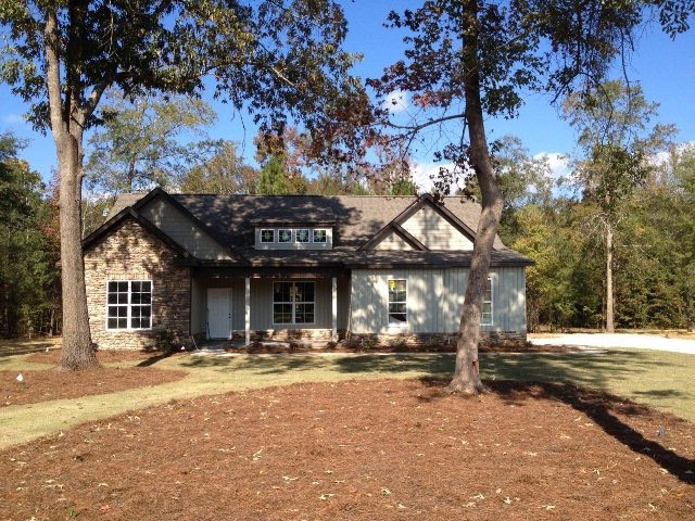 Main View