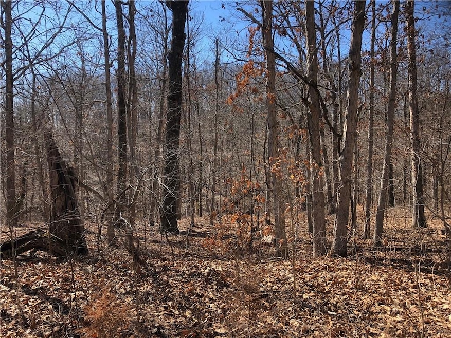 0 Hornsea Ln, Bella Vista, AR 72714 - photo 1