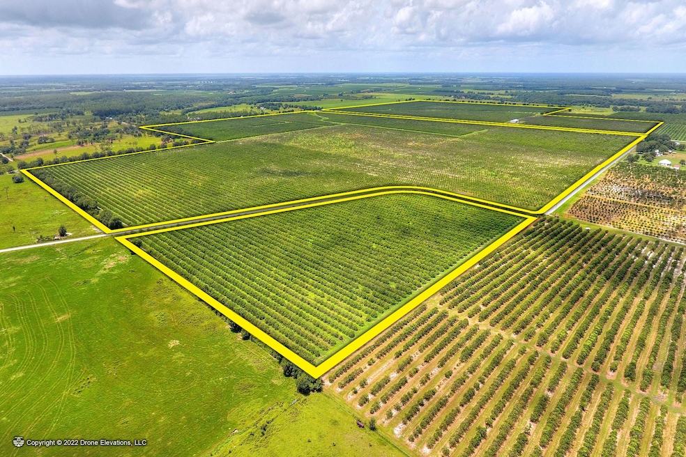 5015 Fish Branch Rd, Zolfo Springs, FL 33890 - photo 1