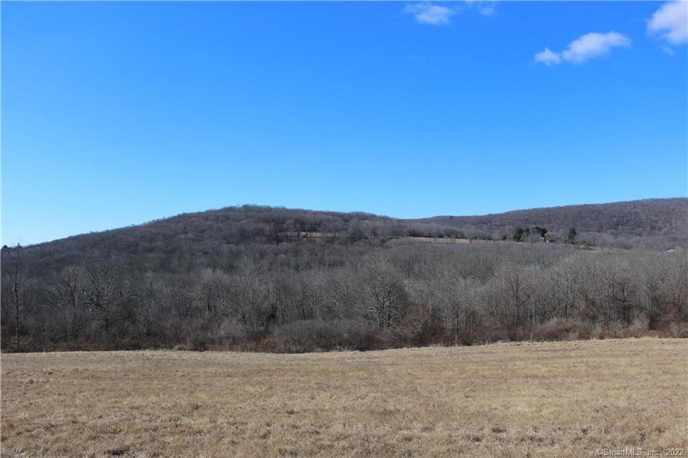 215 Sawyer Hill Rd, New Milford, CT 06776 - photo 1