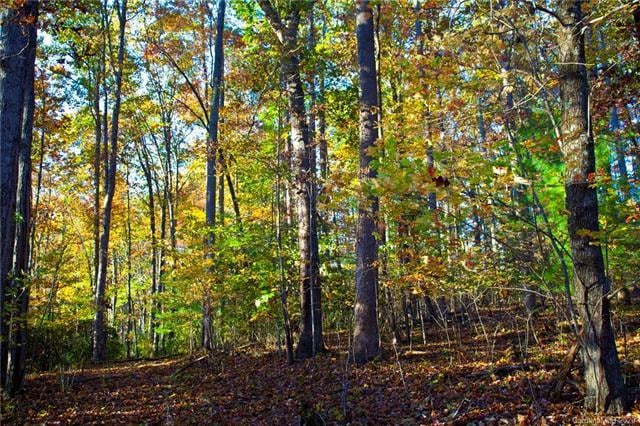 0000 Carolina Hills Dr, Hendersonville, NC 28792 - photo 1