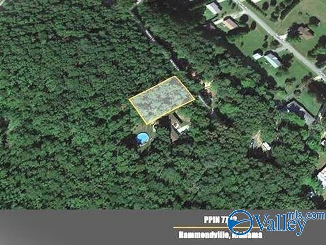 Lot 3 Hickory Ln, Hammondville, AL 35989 - photo 1