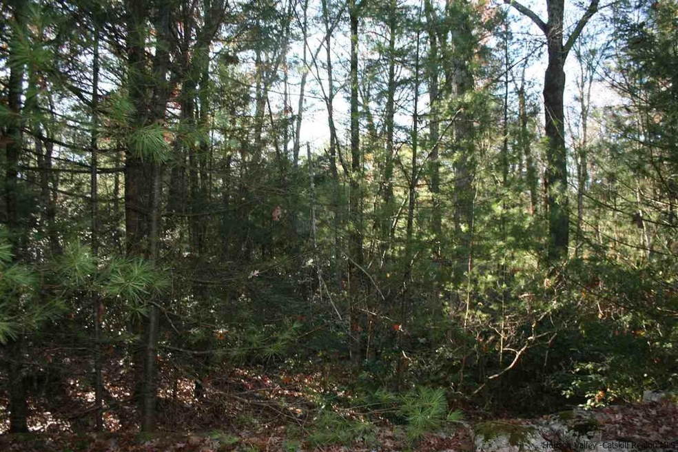 40 Via Pioli Rd, Kerhonkson, NY 12446 - photo 1